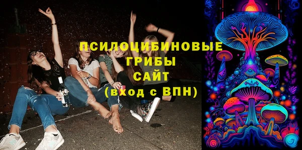 гашик Балабаново