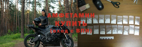 ГАЛЛЮЦИНОГЕННЫЕ ГРИБЫ Елабуга