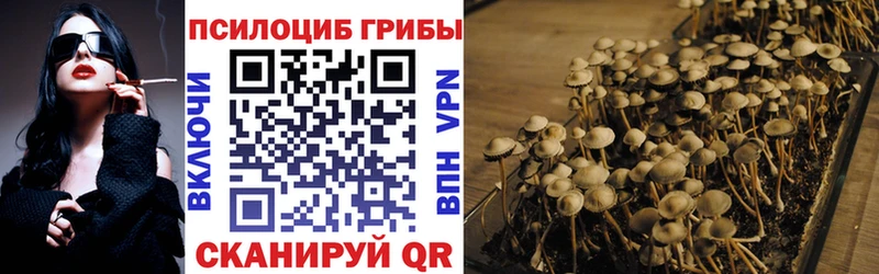 Галлюциногенные грибы Cubensis  нарко площадка Telegram  Губаха  купить наркоту 