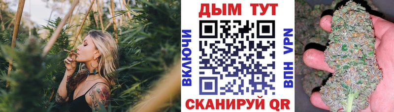 Канабис план Губаха