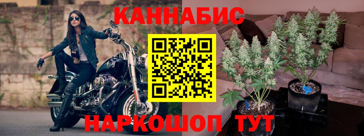 Губаха  МАРИХУАНА семена  Шишки марихуана сатива  Вход с VPN 